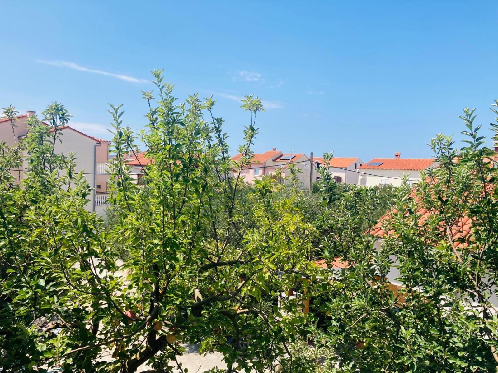 Apartment Mrkic Biograd Na Moru Exterior photo